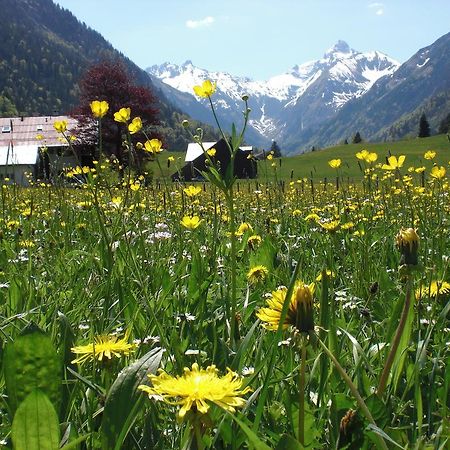 Appartement Haus Stein à Oberstdorf Extérieur photo